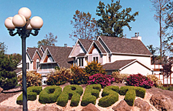 The Forest Townhouses exterior
